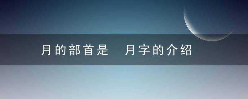 月的部首是 月字的介绍